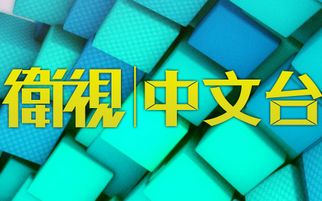 台湾卫视中文台