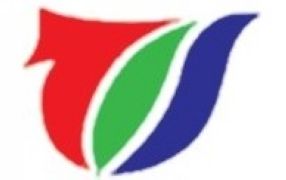 金华电视台网络频道