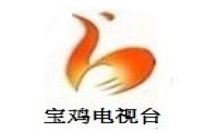 宝鸡电视台一套